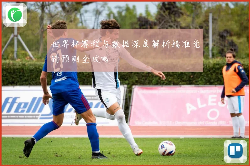 世界杯赛程与数据深度解析精准竞猜预测全攻略